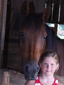 horse at canaan farms