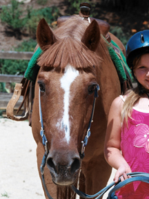 horse at canaan farm