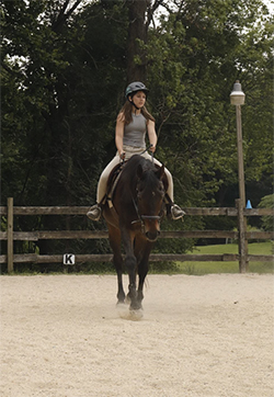 intermediate