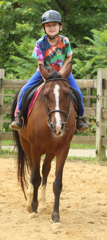 learning to RIDE